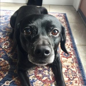 Meet your Posher, Krista